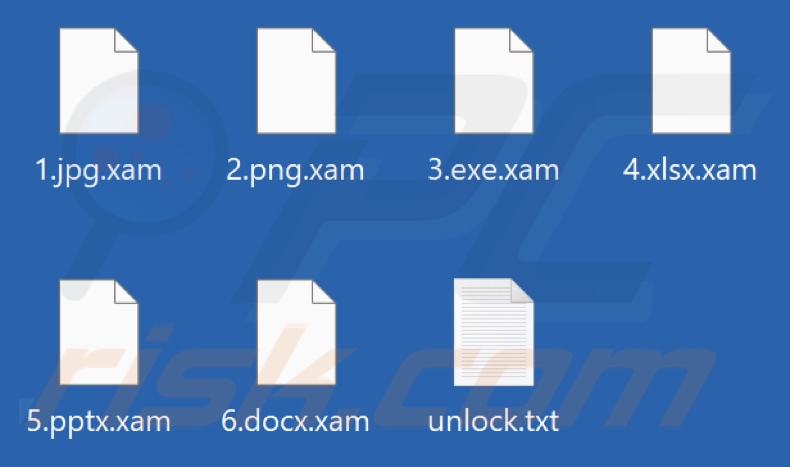 Fichiers cryptés par le ransomware Xam (extension .xam)