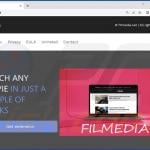Site Web faisant la promotion de logiciels publicitaires Filmmedia (exemple 1)