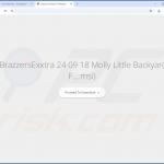 Site Web utilisé pour promouvoir le pirate de navigateur ProSearch 1