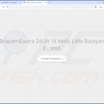 Site Web utilisé pour promouvoir le pirate de navigateur EasySearch 1