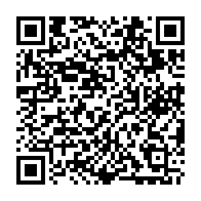 01Flip virus Code QR