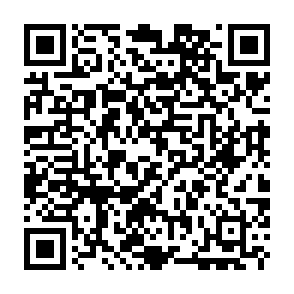 Cheval de Troie d'accès à distance AgtaBackup Code QR