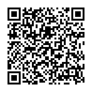 Virus Aldet Code QR
