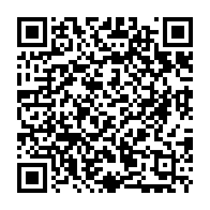 Asyl virus Code QR