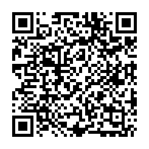 BackLock virus Code QR