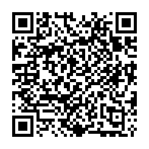 Bactor virus Code QR