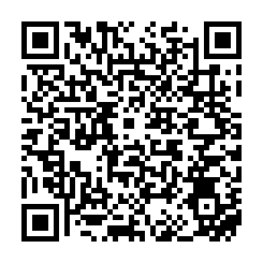 BambooToken backdoor Code QR
