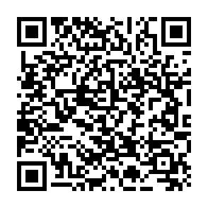 Crypto drainer $Bitcat Airdrop Code QR