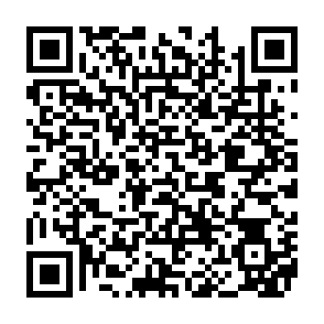 Voleur d'informations BOFAMET Code QR