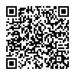 BoryptGrab un programme de vol d'informations Code QR