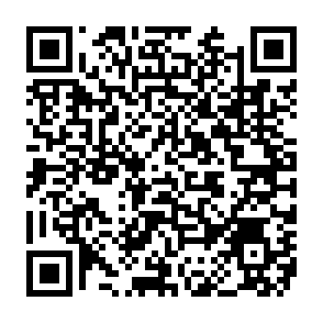 Bricks virus Code QR
