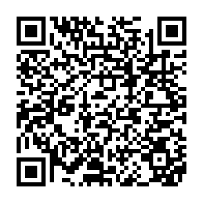 Virus Calipso Code QR