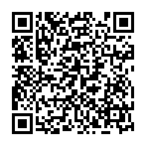 CastleLoader virus Code QR