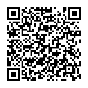 virus CRIMSON Code QR