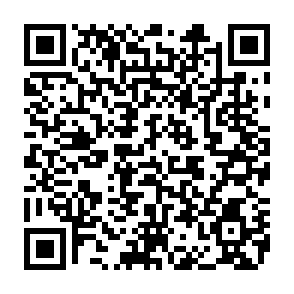 Dante voleur Code QR