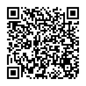 DeerStealer voleur d'informations Code QR
