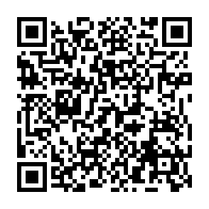 Developer virus Code QR