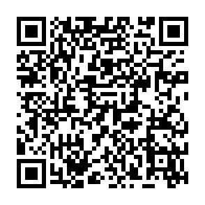 DEVMAN 21 virus Code QR