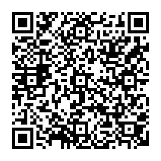 DigitStealer virus Code QR