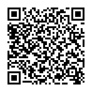 Cheval de Troie d'accès à distance Dolphin X Code QR
