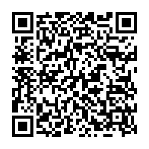 EKZ infostealer Code QR