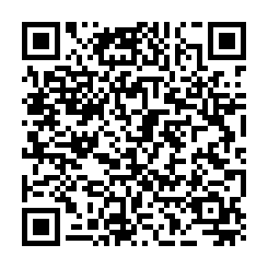 Faux site web Elon Musk Giveaway Code QR
