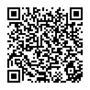 Evolution information stealer Code QR