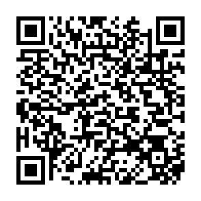Fake Xeno script executor Code QR