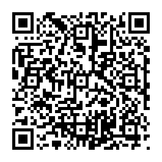 Pirate de navigateur Image Search Code QR
