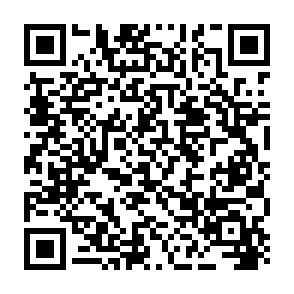 Grass Vote Rewards crypto drainer Code QR