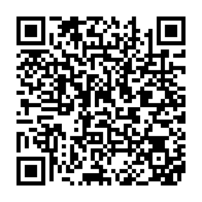 Gremlin maliciel Code QR