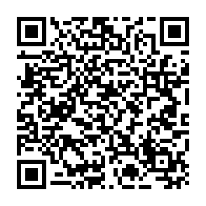 Hitler virus Code QR