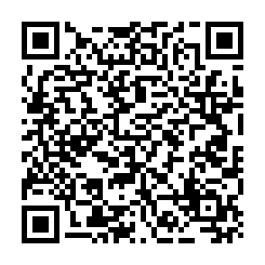 Hnx911 virus Code QR