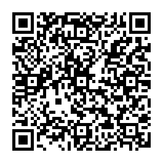 IdontCareLOck virus Code QR