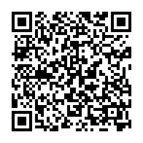 Virus KIMO Code QR