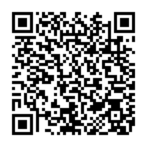 Cheval de Troie d'accès à distance LabubaRAT Code QR