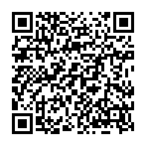 Lalia virus Code QR