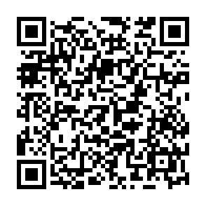 Lamia Loader virus Code QR
