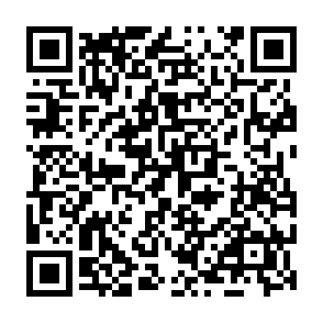 LLHN infostealer Code QR