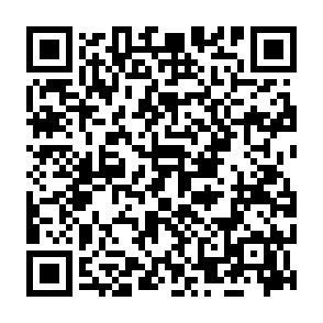 Lockis virus Code QR