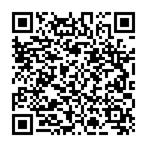 LofyStealer voleur d'informations Code QR
