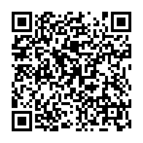 LQTOREQ virus Code QR