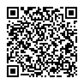 Stealer de données Lunex Code QR
