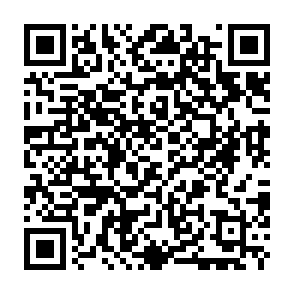 virus MAIN Code QR