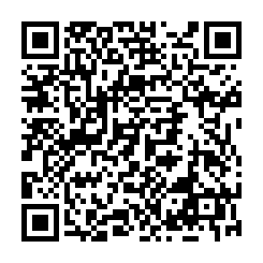 Voleur d'informations Maranhão Code QR
