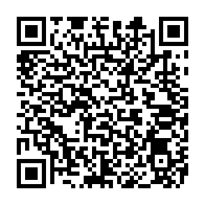 Marco information stealer Code QR