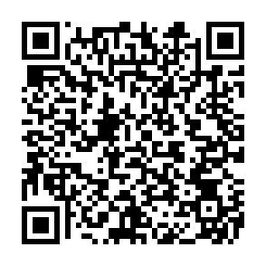 Cheval de Troie d'accès à distance Millenium Code QR