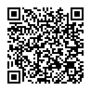 Monkey virus Code QR