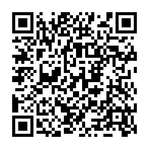 Pirate de navigateur WorkFaze Code QR