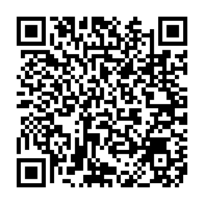Virus NBLock Code QR